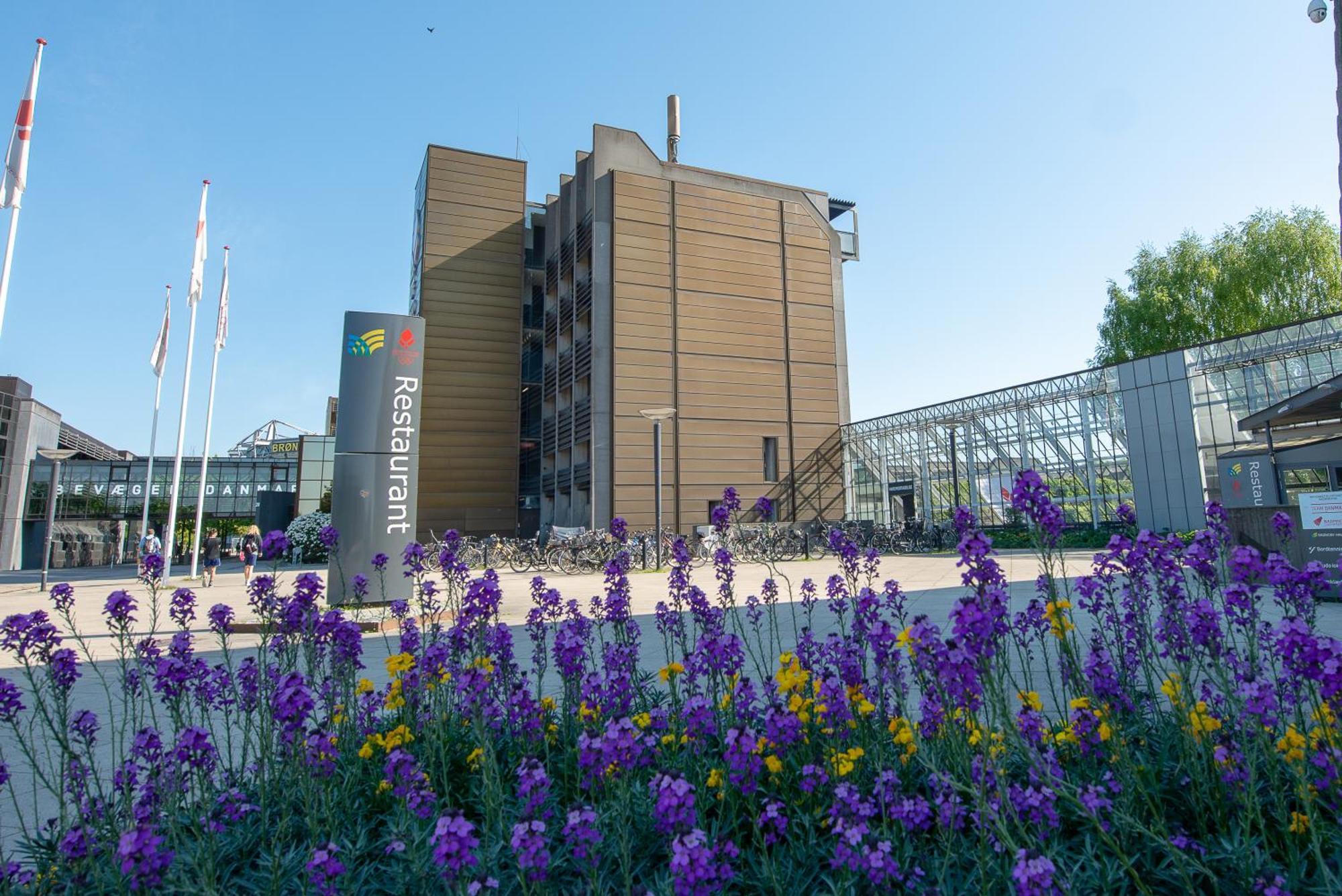 Idraettens Hus Hotel Og Konference Брённбювестер Экстерьер фото